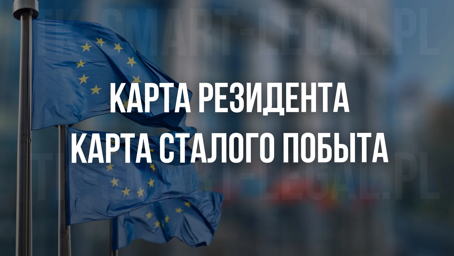 карта резидента в польше. карта сталого побыта. карта поляка