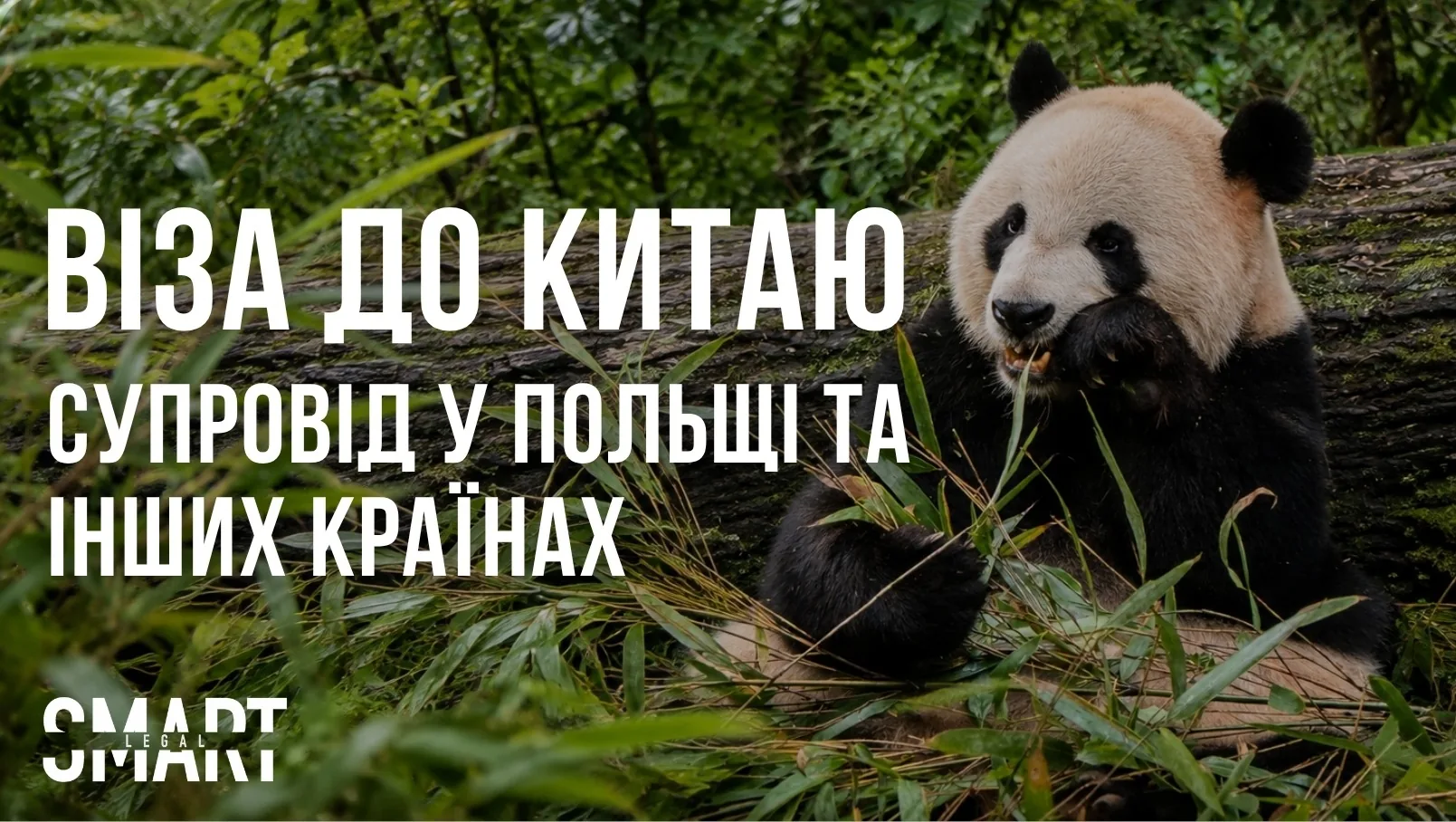 отримати візу у Китай у Польщі для українця Віза до Китаю